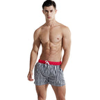Men's Quick-Dry Striped Beach Shorts & Swim Trunks